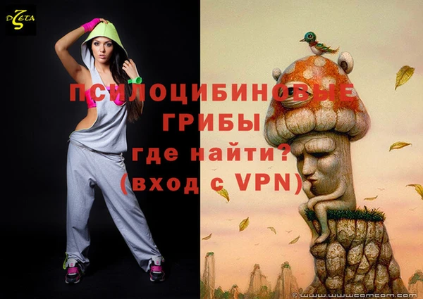 бошки Алзамай