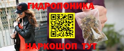 дурь Кимры