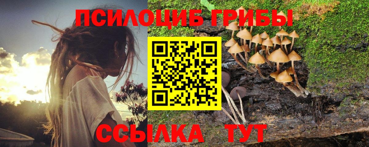 Галлюциногенные грибы мухоморы Муравленко